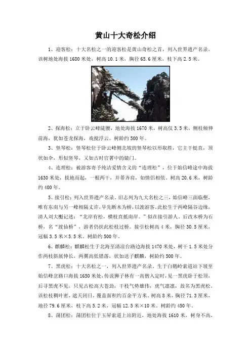 黄山十大奇松介绍