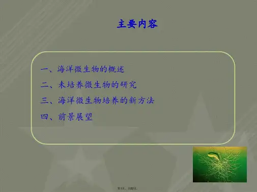 海洋微生物--非常全