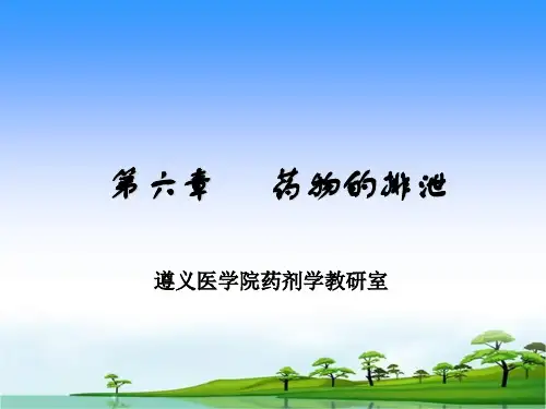高校药物排泄(新模板)
