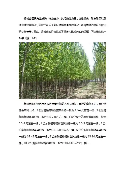 杨树苗多少钱一棵