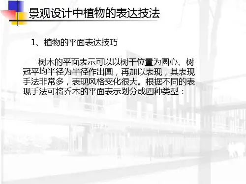 景观设计中植物的表达技法