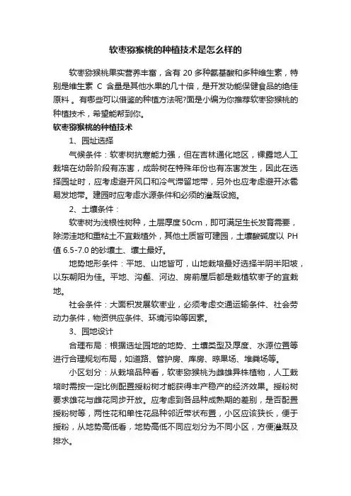 软枣猕猴桃的种植技术是怎么样的