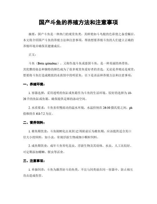 国产斗鱼的养殖方法和注意事项