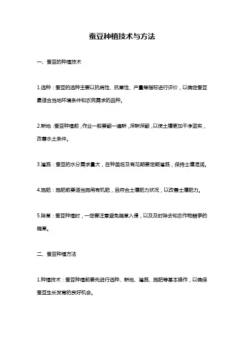 蚕豆种植技术与方法