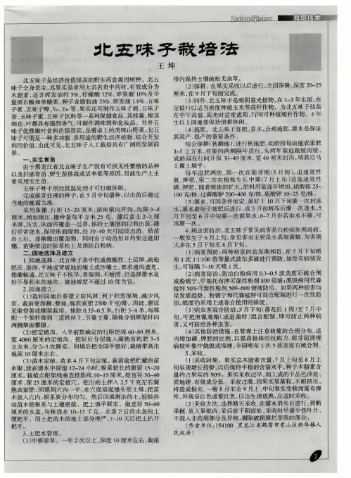 北五味子栽培法