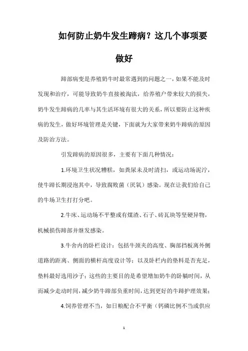 如何防止奶牛发生蹄病？这几个事项要做好