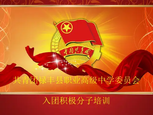 中国共青团培训.ppt