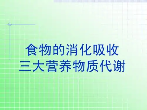 第13课 食物的消化