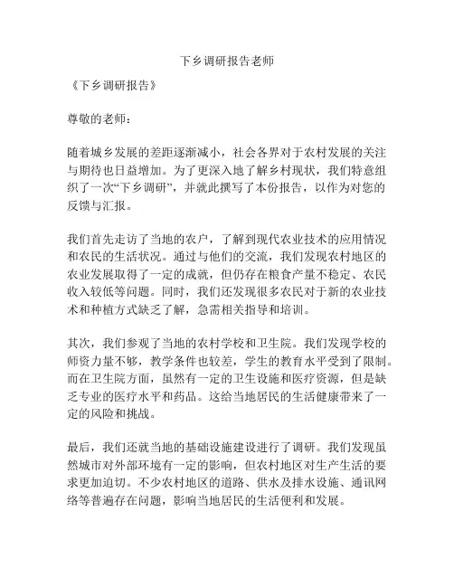 下乡调研报告老师