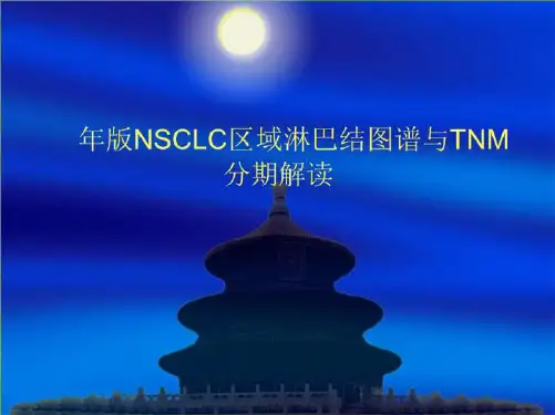 肺癌淋巴结图谱