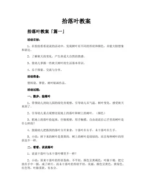 拾落叶教案精选五篇
