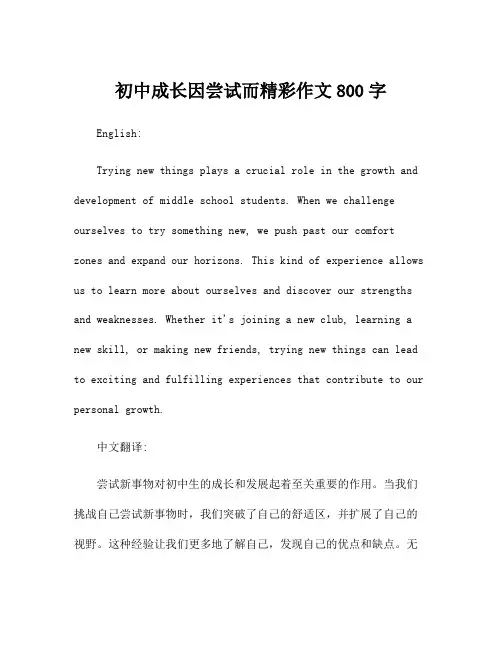 初中成长因尝试而精彩作文800字