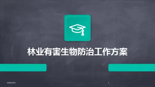 2024年度林业有害生物防治工作方案