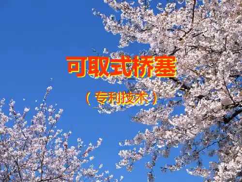 可取式桥塞PPT课件