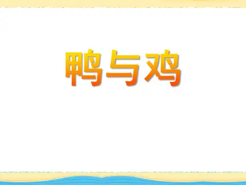 鄂教版科学三年级上册第20课《鸭与鸡》ppt课件(1)