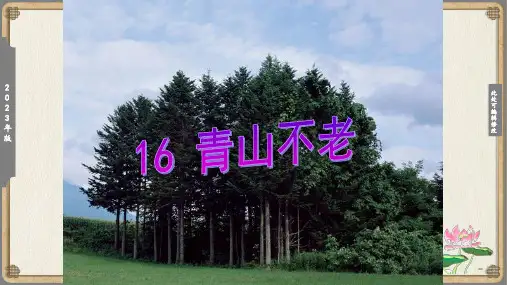 《青山不老》教学课件(共17张PPT)