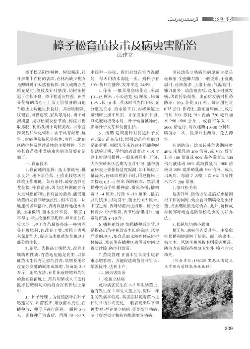 樟子松育苗技术及病虫害防治