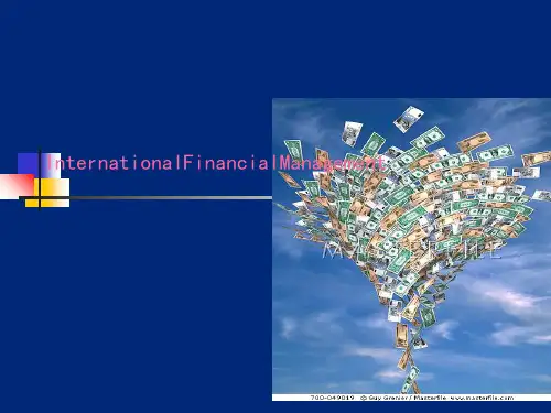 跨国公司财务管理培训课程(PPT38张)