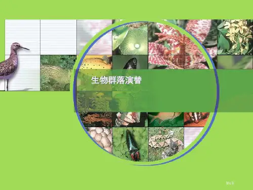 人教版教学生物群落的演替公开课一等奖优质课大赛微课获奖课件