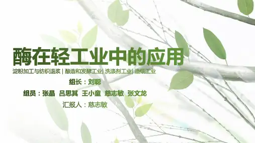 酶在轻工业中的应用