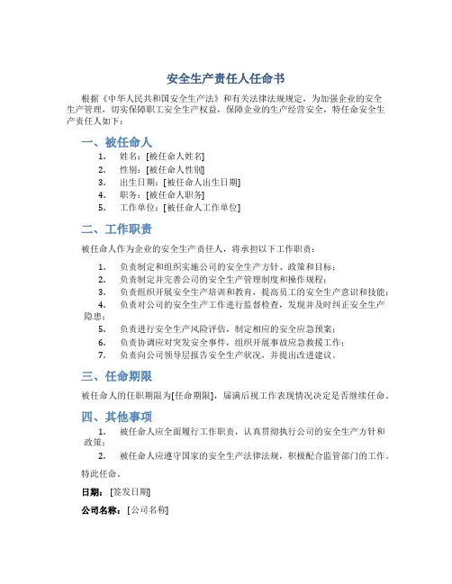 安全生产责任人任命书