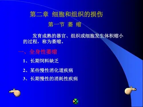 兽医病理学2 细胞与组织损伤