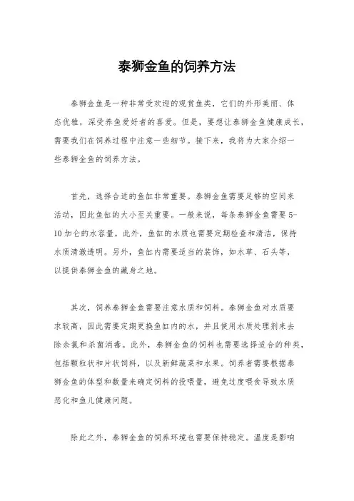 泰狮金鱼的饲养方法