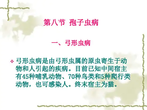 弓形虫