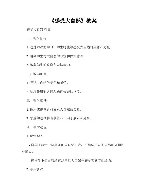 《感受大自然》教案