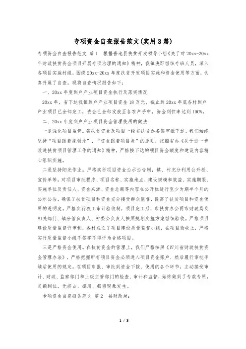 专项资金自查报告范文(实用3篇)
