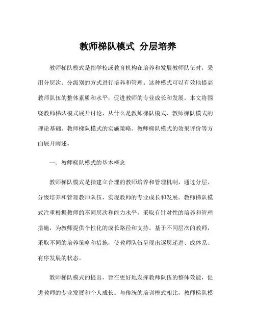 教师梯队模式 分层培养