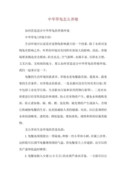 中华草龟怎么养殖