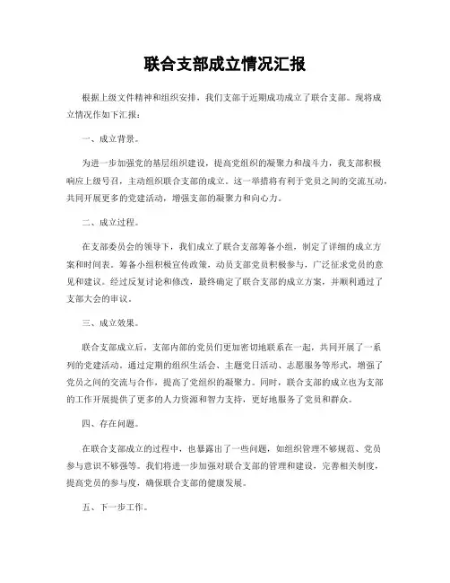 联合支部成立情况汇报