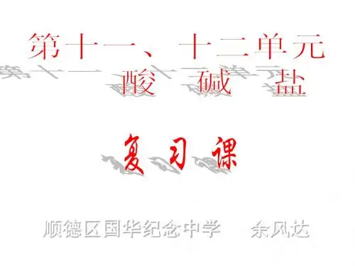 九年级化学酸碱盐2(2)