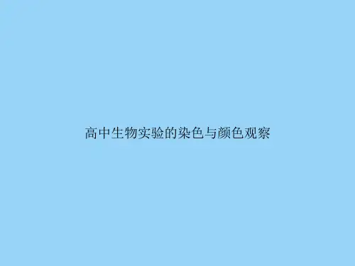 高中生物实验的染色与颜色观察