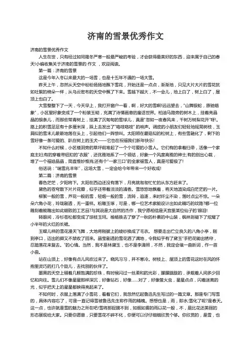 济南的雪景优秀作文
