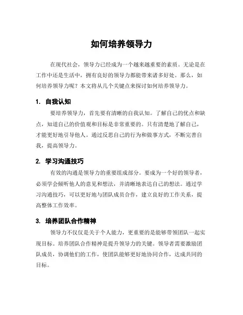 如何培养领导力