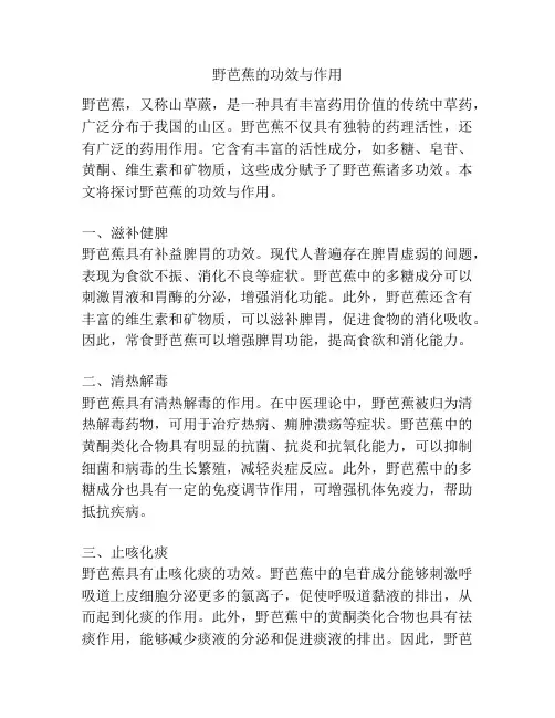野芭蕉的功效与作用