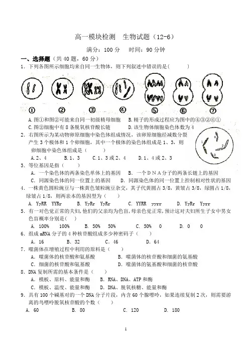 高一必修二生物检测  生物期末试题(附答案)