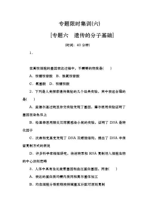 高考生物二轮复习方案专题限时集训(新课标)：专题六 遗传的分子基础 Word版含解析