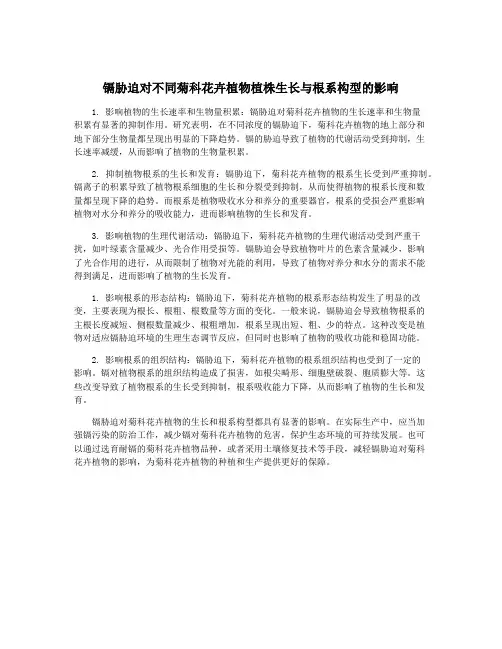 镉胁迫对不同菊科花卉植物植株生长与根系构型的影响