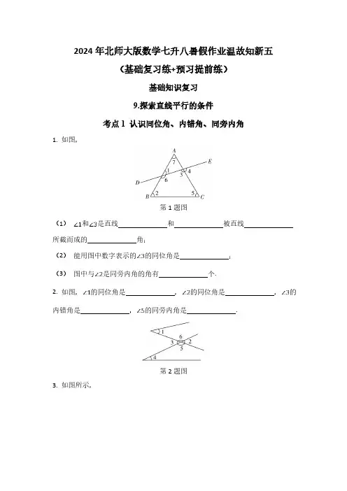 2024年北师大版数学七升八暑假作业温故知新五(基础复习练+预习提前练)(含答案)