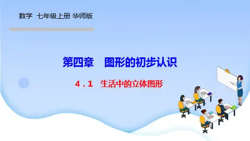 华师版七年级数学上册作业课件(HS)第四章 图形的初步认识 生活中的立体图形