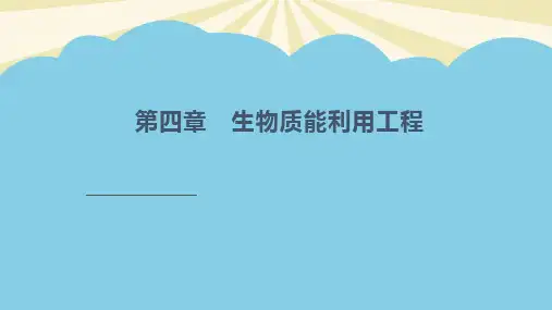 生物质能.最全PPT