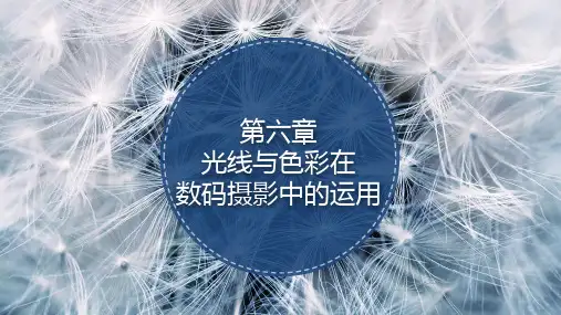 第六章  光线与色彩在数码摄影中的运用