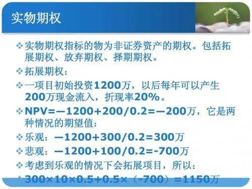 实物期权