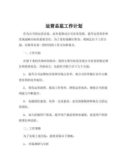 运营总监工作计划