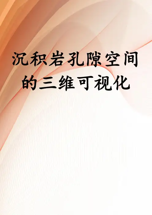 沉积岩孔隙空间的三维可视化