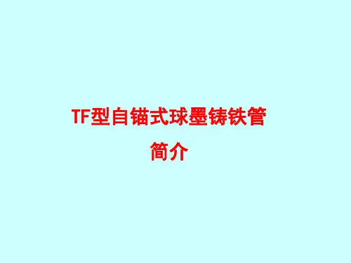 自锚式球墨铸铁管