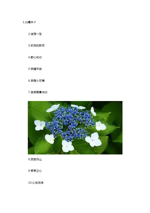 快手网名昵称简单好听100个